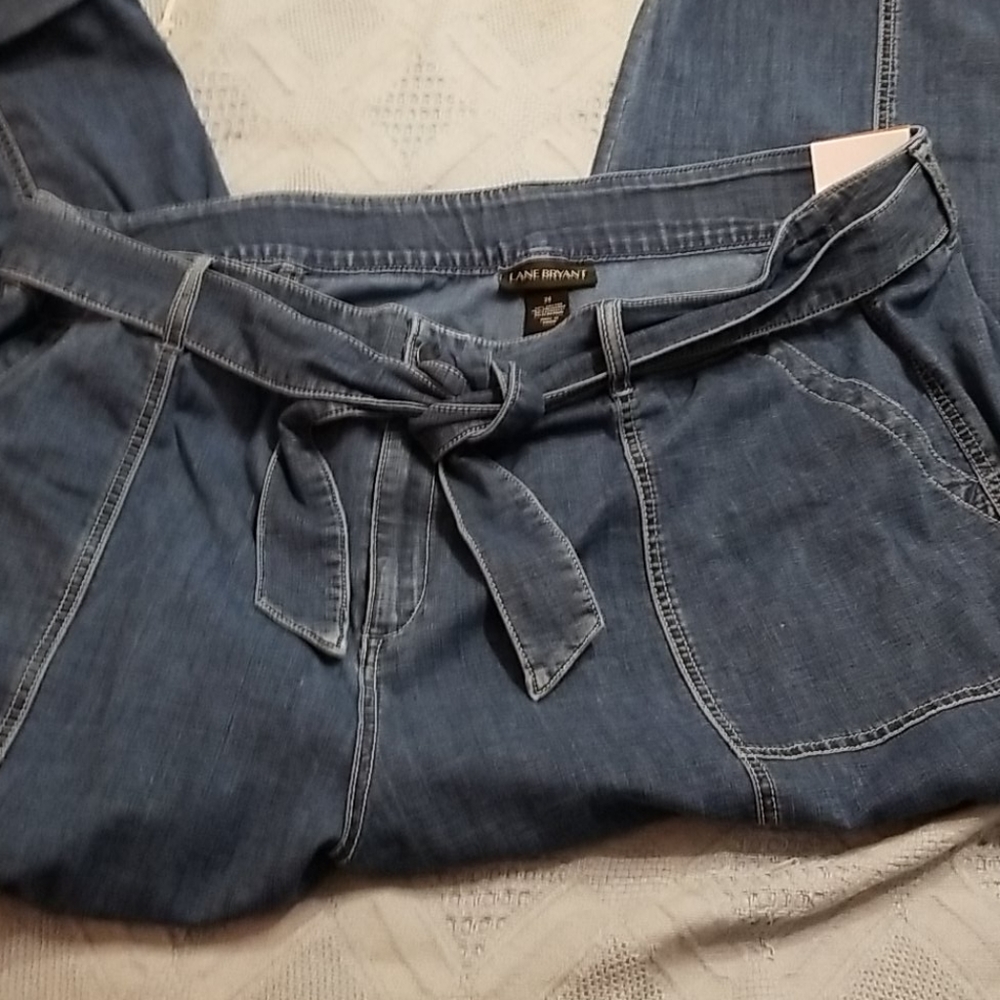 Lane Bryant jeans size 24